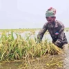 উত্তর-পূর্বাঞ্চলে বন্যা পরিস্থিতি স্থিতিশীল, তিন দিন পর উন্নতির আভাস