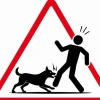 Five die in a week after being bitten by rabid dog in Gaibandha