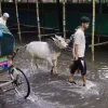 Fresh spell of rain triggers waterlogging in Dhaka, hampers Eid preparations