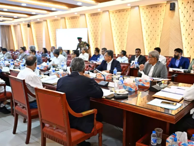Pre-Budget ECNEC meeting discusses development projects, proposals
