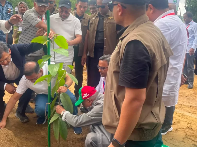 PM inaugurates nationwide programme to plant 25 crore saplings