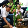 Plant one tree wherever possible, PM urges citizens