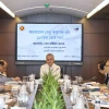 Bangladesh Bridge Authority approves 55MW solar plant on Jamuna Bridge land