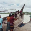 Fisherman goes missing after falling from trawler in Pirojpur