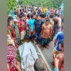 নীলফামারীতে ট্রাকচাপায় এক পরিবারের ৪ জন নিহত