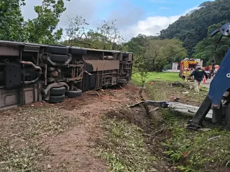 Bus accident kills at least eight in Brazil