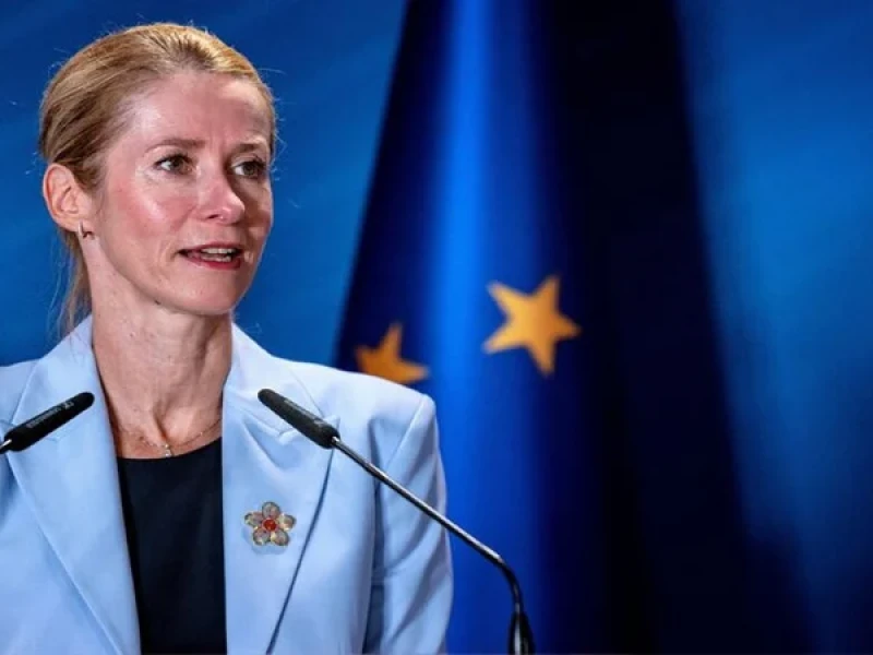 Top EU diplomat seeks increase in sanctioned Russian entities: report