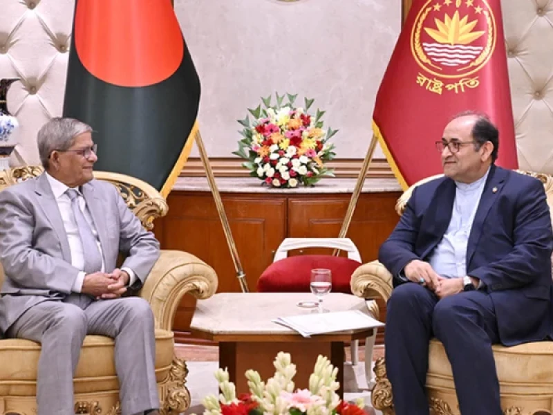 Iranian envoy calls on President