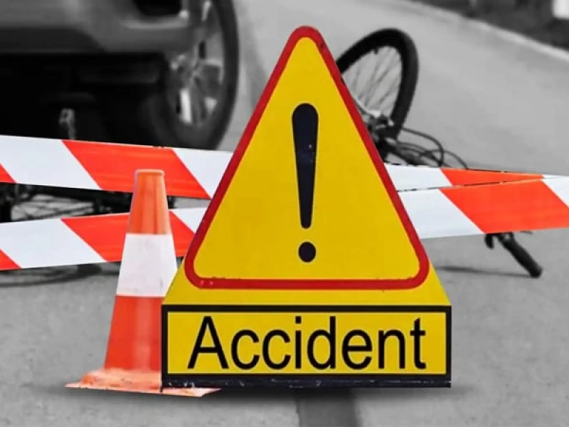Elderly mentally challenged man killed in Gopalganj accident