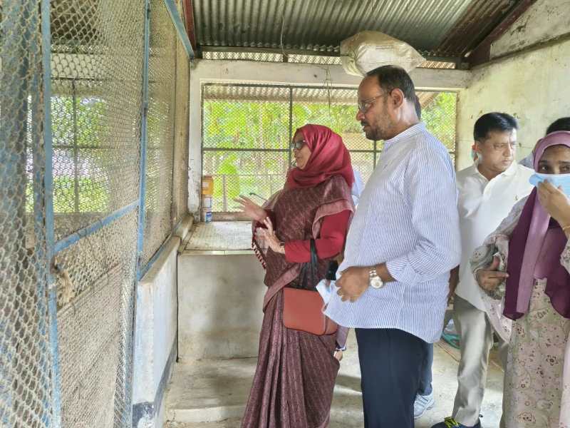 Central poultry farm told to boost chick production, fix shortcomings