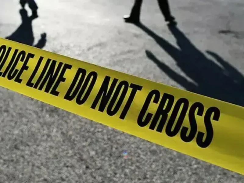 দক্ষিণ আফ্রিকায় পৃথক বন্দুক হামলায় নিহত ২৭
