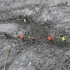 2 workers rescued alive from Nepal hydropower tunnel as search continues for others