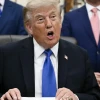 Trump blasts Supreme Court justices over 'horrible' mail vote ruling