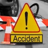 Elderly mentally challenged man killed in Gopalganj accident