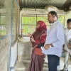 Central poultry farm told to boost chick production, fix shortcomings