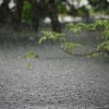 দেশের ৫ জেলায় ভারী থেকে অতি ভারী বৃষ্টির সতর্কতা