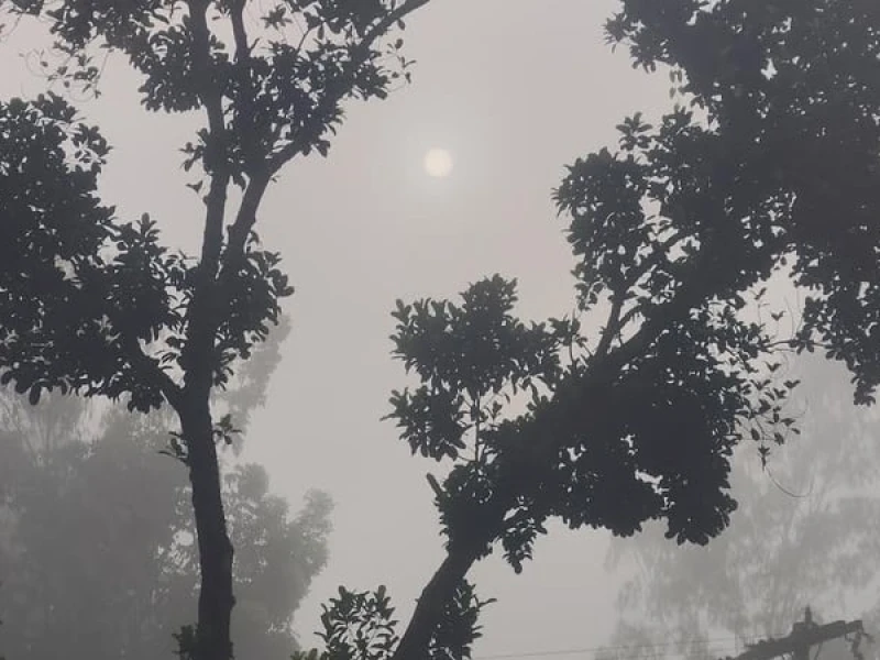 পঞ্চগড়ে তাপমাত্রা নেমেছে ১৭ ডিগ্রিতে, বাড়ছে শীতের অনুভূতি