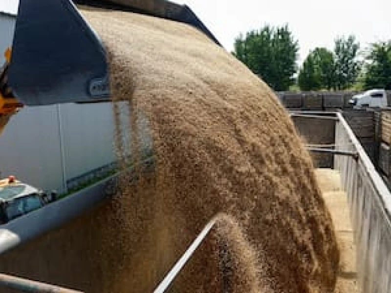 Global food prices hit nearly four-year high in September: UN