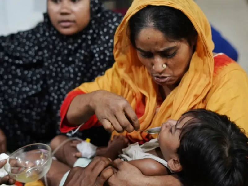 ডেঙ্গুতে ২৪ ঘণ্টায় ১০ মৃত্যু, হাসপাতালে ১,৯৪৩