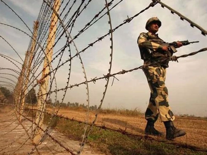 2 Bangladesh policemen detained by BSF during anti-narcotics operation in Cumilla border