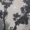 পঞ্চগড়ে তাপমাত্রা নেমেছে ১৭ ডিগ্রিতে, বাড়ছে শীতের অনুভূতি