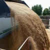 Global food prices hit nearly four-year high in September: UN