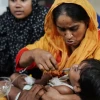 Dengue deaths hit highest single-day toll again with 10